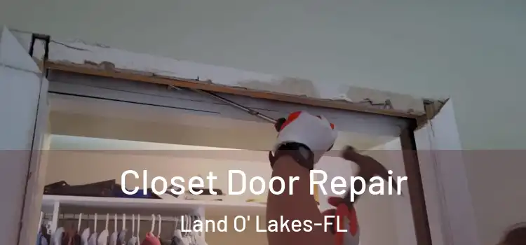 Closet Door Repair Land O' Lakes-FL