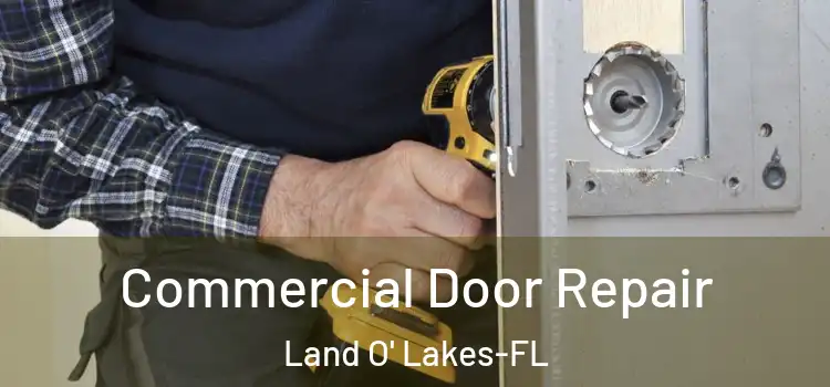  Commercial Door Repair Land O' Lakes-FL