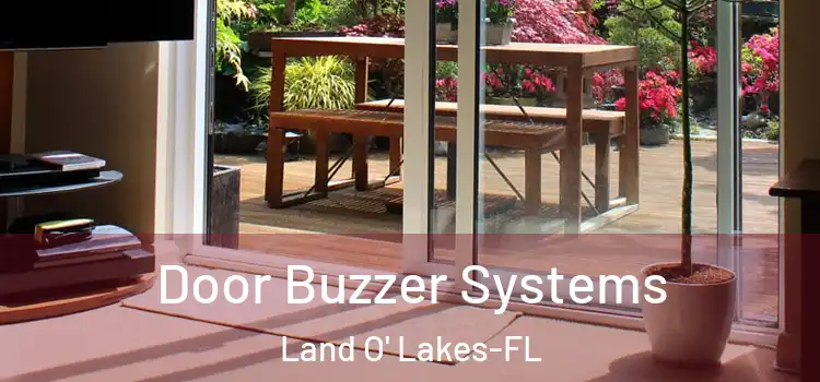 Door Buzzer Systems Land O' Lakes-FL