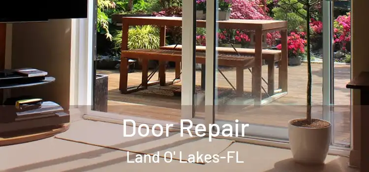 Door Repair Land O' Lakes-FL