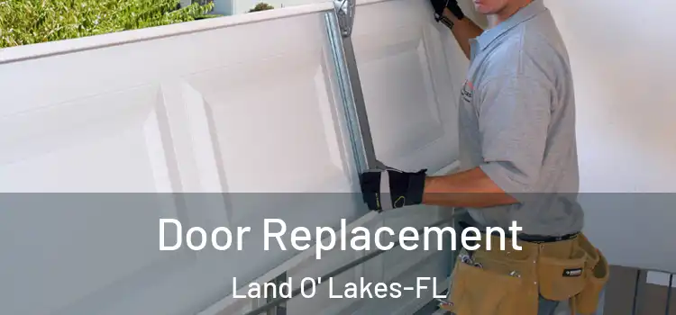 Door Replacement Land O' Lakes-FL