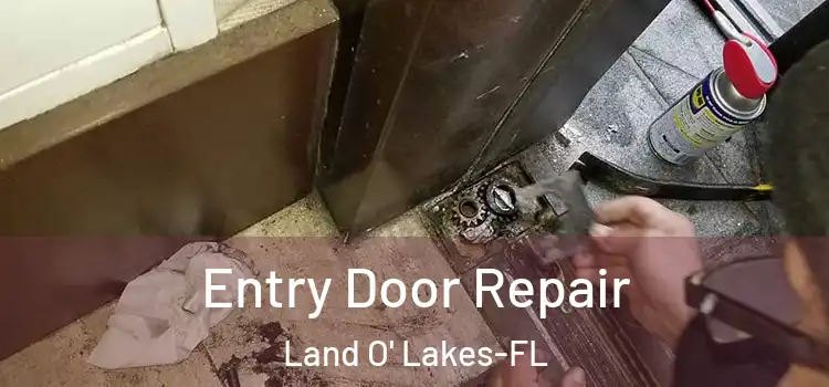 Entry Door Repair Land O' Lakes-FL