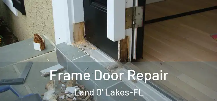 Frame Door Repair Land O' Lakes-FL