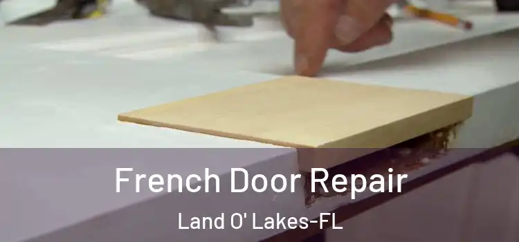 French Door Repair Land O' Lakes-FL