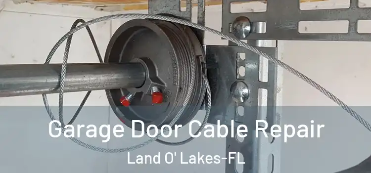 Garage Door Cable Repair Land O' Lakes-FL