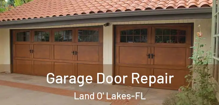Garage Door Repair Land O' Lakes-FL
