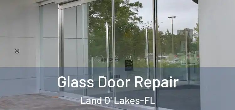 Glass Door Repair Land O' Lakes-FL