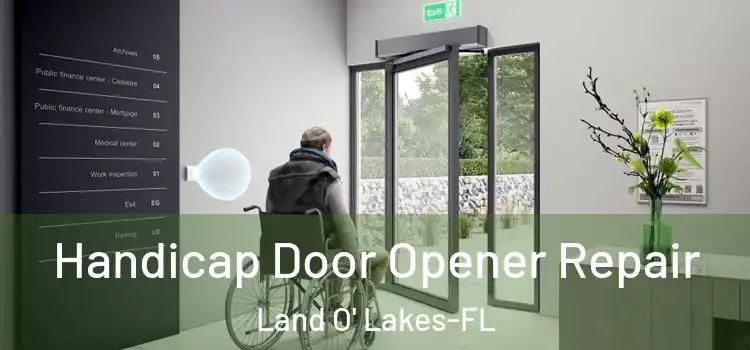  Handicap Door Opener Repair Land O' Lakes-FL