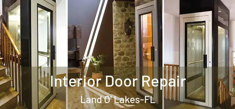  Interior Door Repair Land O' Lakes-FL