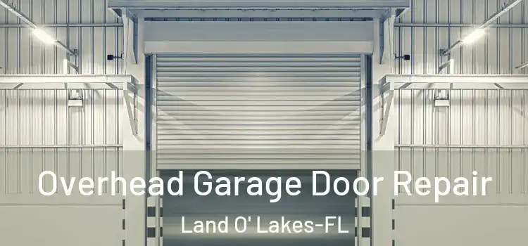 Overhead Garage Door Repair Land O' Lakes-FL