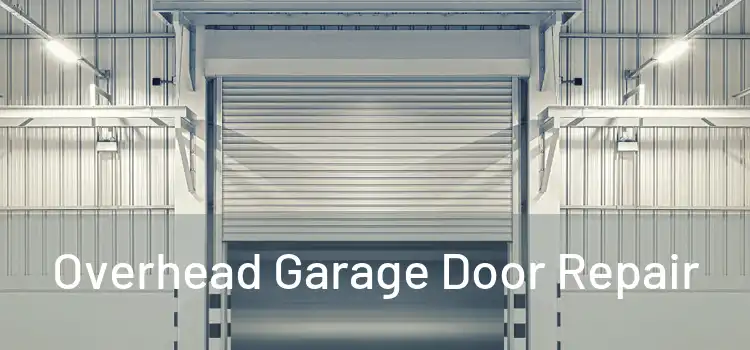  Overhead Garage Door Repair 