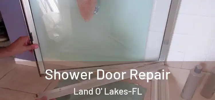 Shower Door Repair Land O' Lakes-FL