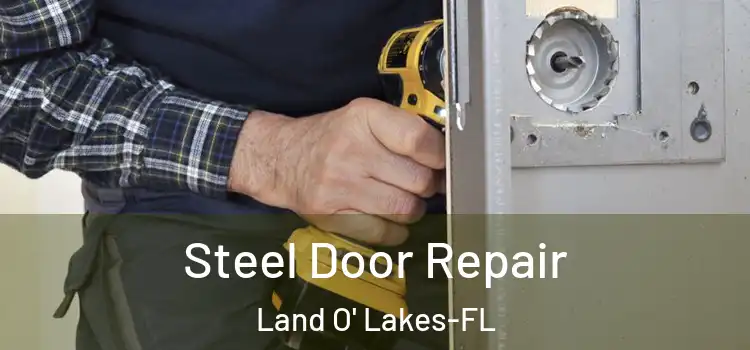 Steel Door Repair Land O' Lakes-FL