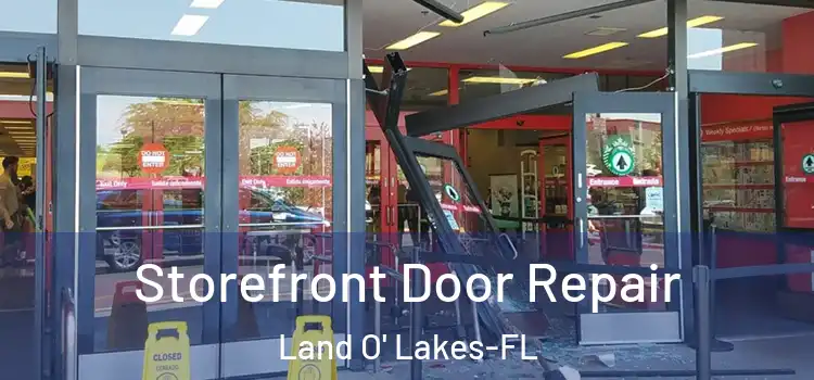 Storefront Door Repair Land O' Lakes-FL