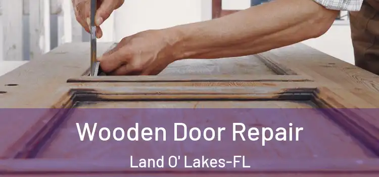 Wooden Door Repair Land O' Lakes-FL